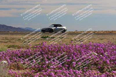 media/Jan-08-2023-SCCA SD (Sun) [[8f6a5b9391]]/Intermediate Group/Session 2 (Short Straight)/